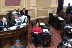 Julia as media in the Virginia Senate chambers, 2-28-09